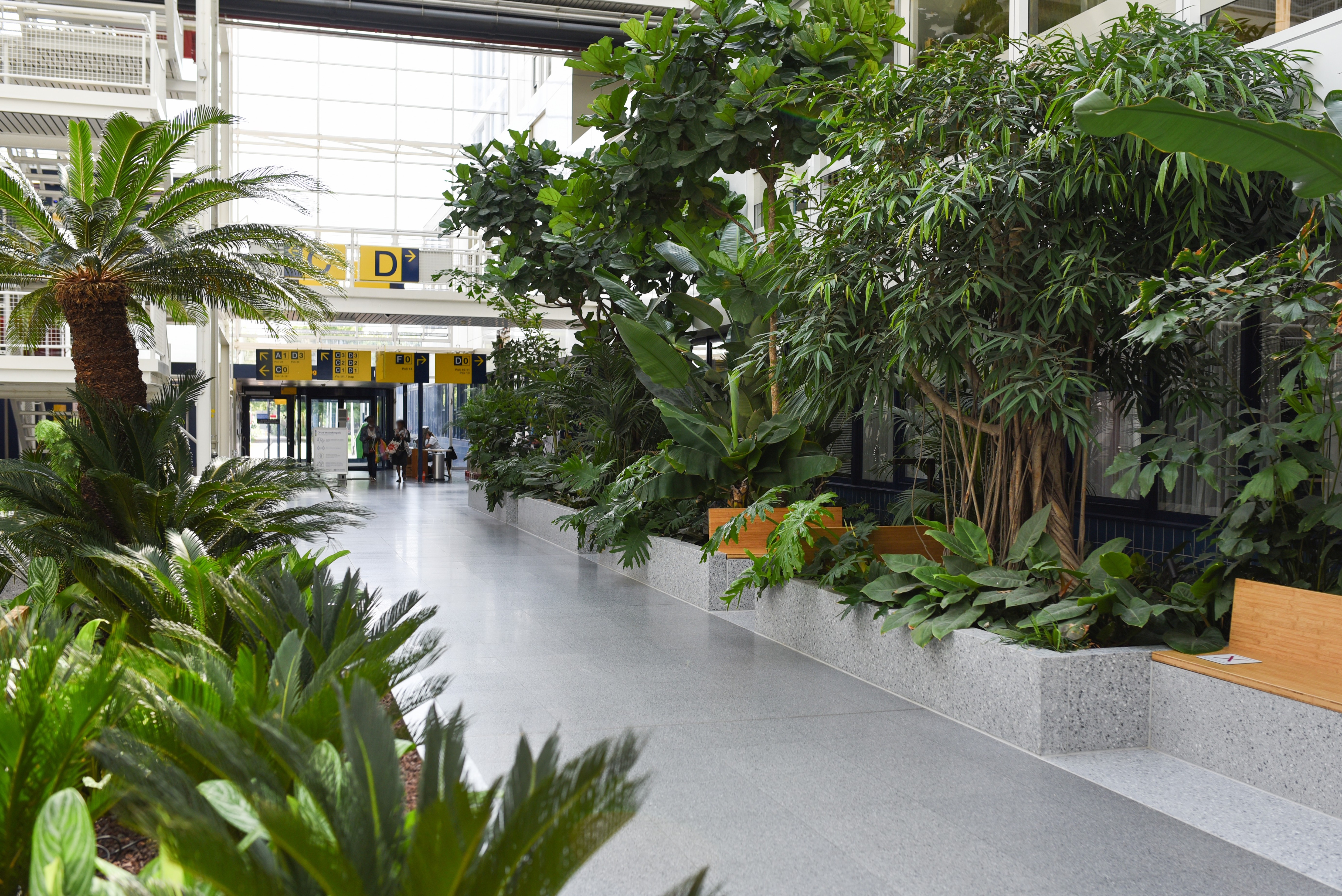 Dijklanderziekenhuis  Purmerend - Ira Koers