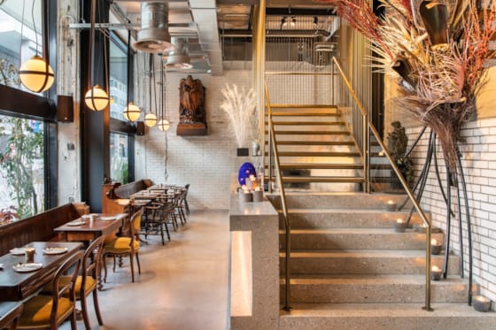 Dodo restaurant Rotterdam  - Masa architecten