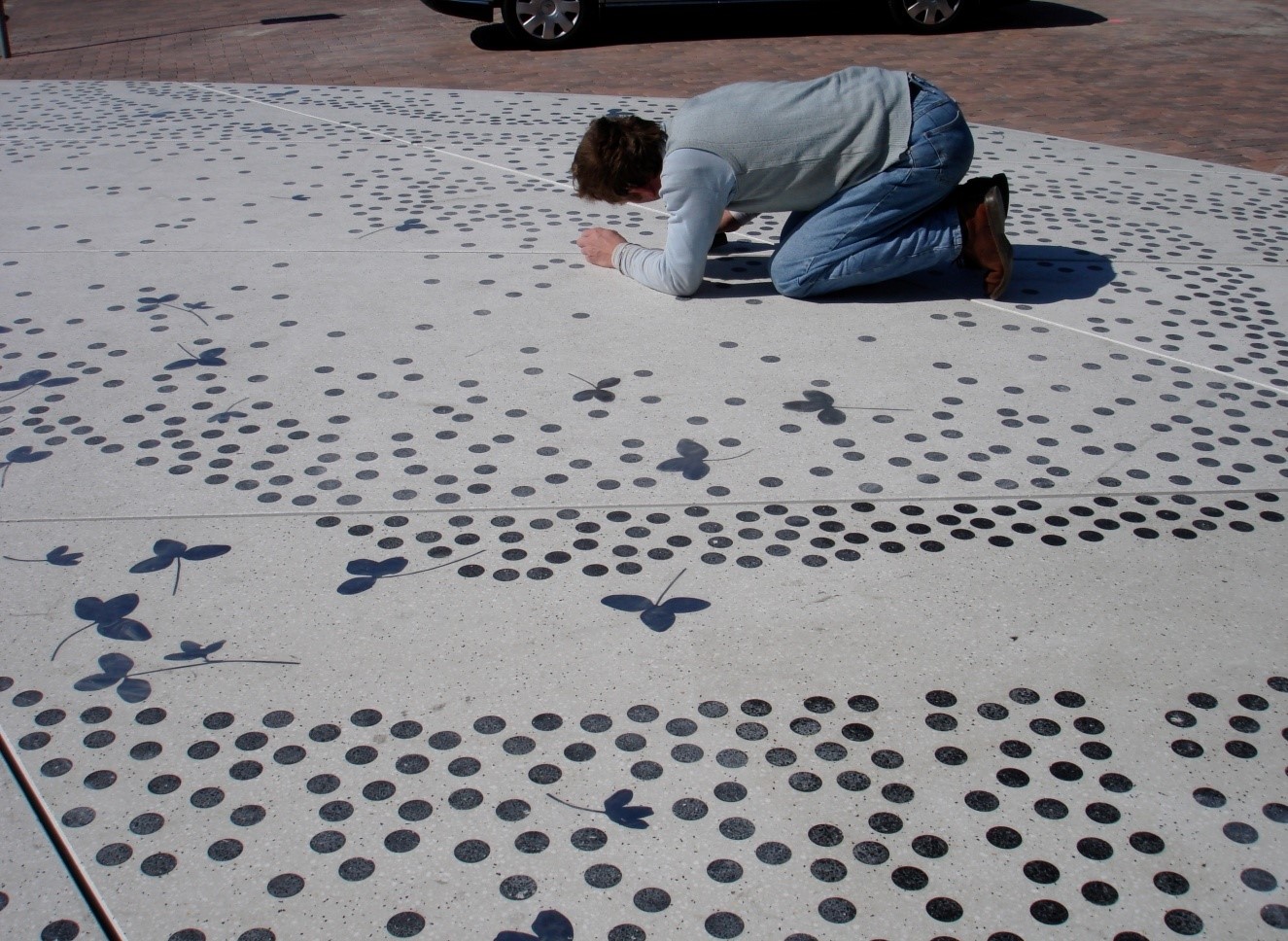 Vliegend Tapijt Binnenmaas - Daan & Trenning