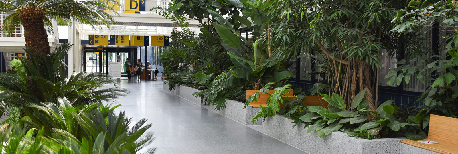 Dijklanderziekenhuis  Purmerend - Ira Koers